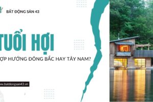 Tuổi Hợi Hợp Hướng Đông Bắc Hay Tây Nam?
