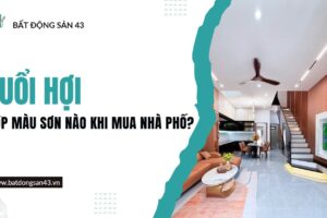 Tuổi Hợi Hợp Màu Sơn Nào Khi Mua Nhà Phố?