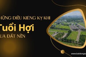 Những Điều Kiêng Kỵ Khi Tuổi Hợi Mua Đất Nền