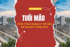 Tuổi Mão Chọn Tầng Chung Cư Thế Nào Khi Mua Bất Động Sản?