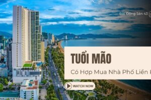 Tuổi Mão Có Hợp Mua Nhà Phố Liền Kề?