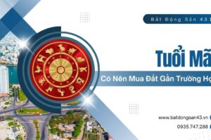 Tuổi Mão Có Nên Mua Đất Gần Trường Học?