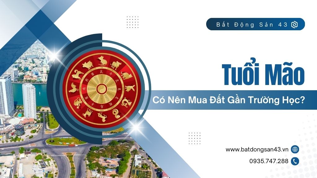 Tuổi Mão Có Nên Mua Đất Gần Trường Học