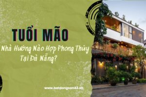 Tuổi Mão Mua Nhà Hướng Nào Hợp Phong Thủy Tại Đà Nẵng?