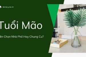 Tuổi Mão Nên Chọn Nhà Phố Hay Chung Cư?