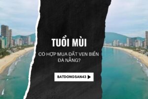 Tuổi Mùi Có Hợp Mua Đất Ven Biển Đà Nẵng?