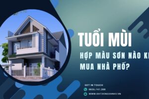Tuổi Mùi Hợp Màu Sơn Nào Khi Mua Nhà Phố?