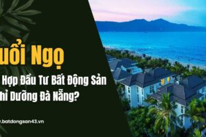 Tuổi Ngọ Có Hợp Đầu Tư Bất Động Sản Nghỉ Dưỡng Đà Nẵng?