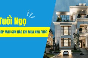 Tuổi Ngọ Hợp Màu Sơn Nào Khi Mua Nhà Phố?