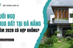 Tuổi Ngọ Mua Đất Tại Đà Nẵng Năm 2028 Có Hợp Không?