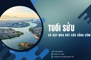 Tuổi Sửu Có Hợp Mua Đất Gần Sông Cẩm Lệ?