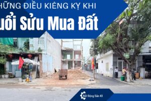 Những Điều Kiêng Kỵ Khi Tuổi Sửu Mua Đất
