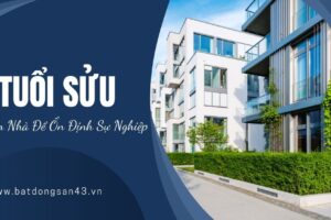 Tuổi Sửu Chọn Nhà Để Ổn Định Sự Nghiệp