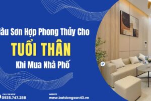 Màu Sơn Hợp Phong Thủy Cho Tuổi Thân Khi Mua Nhà Phố