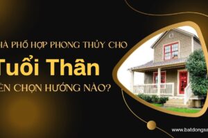 Nhà Phố Hợp Phong Thủy Cho Tuổi Thân Nên Chọn Hướng Nào?