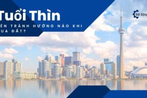 Tuổi Thìn Nên Tránh Hướng Nào Khi Mua Đất?