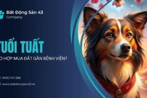 Tuổi Tuất Có Hợp Mua Đất Gần Bệnh Viện?