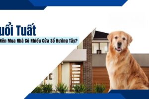 Tuổi Tuất Có Nên Mua Nhà Có Nhiều Cửa Sổ Hướng Tây?