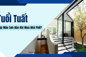Tuổi Tuất Hợp Màu Sơn Nào Khi Mua Nhà Phố?