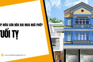 Tuổi Tỵ Hợp Màu Sơn Nào Khi Mua Nhà Phố?