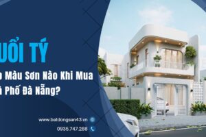 Tuổi Tý Hợp Màu Sơn Nào Khi Mua Nhà Phố Đà Nẵng?