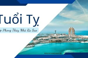 Tuổi Tỵ Hợp Phong Thủy Nhà Ra Sao?
