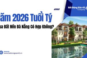 Năm 2026 Tuổi Tý Mua Đất Nền Đà Nẵng Có Hợp Không?