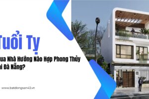 Tuổi Tỵ Mua Nhà Hướng Nào Hợp Phong Thủy Tại Đà Nẵng?