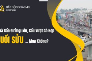 Nhà Gần Đường Lớn, Cầu Vượt Có Hợp Tuổi Sửu Mua Không?