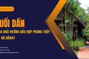 Tuổi Dần Mua Nhà Hướng Nào Hợp Phong Thủy Tại Đà Nẵng?