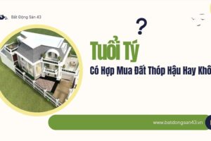 Tuổi Tý Có Hợp Mua Đất Thóp Hậu Hay Không?