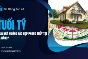 Tuổi Tý Mua Nhà Hướng Nào Hợp Phong Thủy Tại Đà Nẵng?