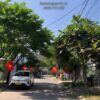 ĐẤT BỘ ĐỘI TRINH SÁT 2